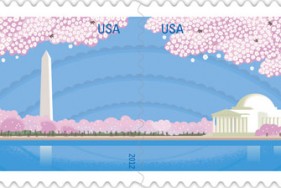 cherryblossoms-forever-2012-block2-bgv11