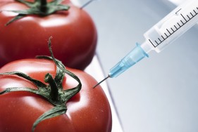 genetic experiment