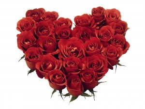 Valentines-day-roses