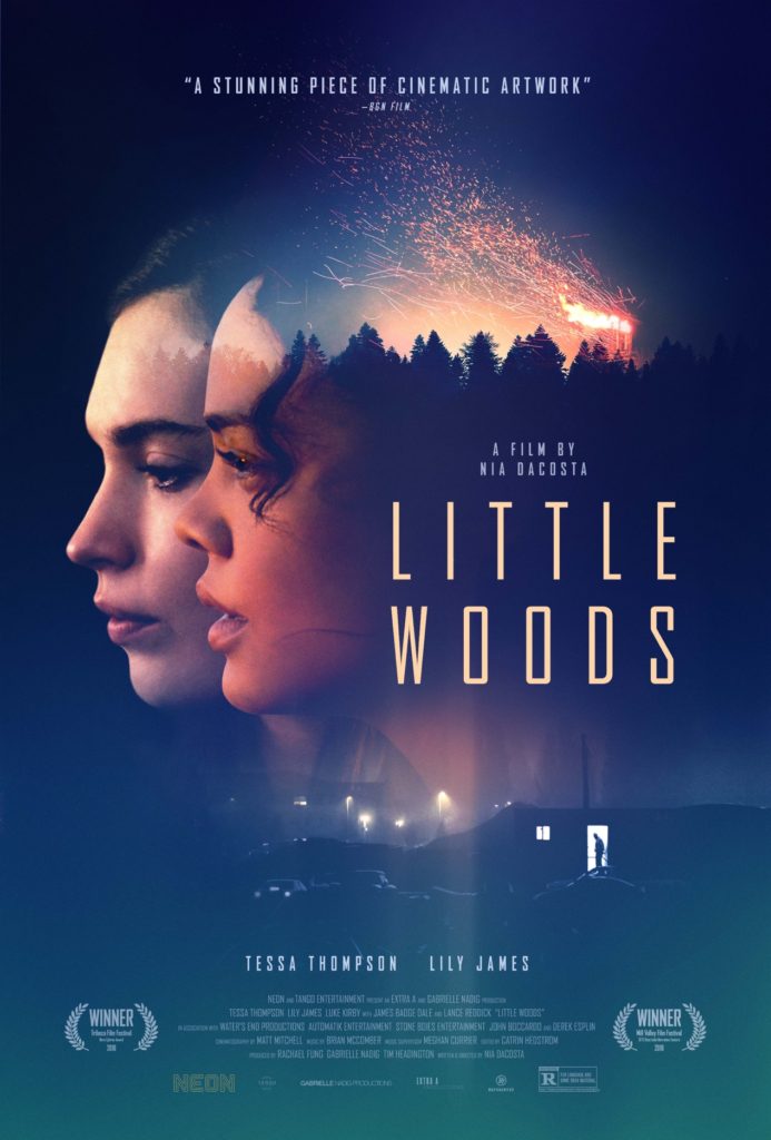  LITTLE WOODS 