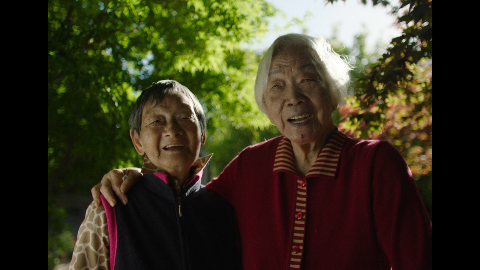 NǍI NAI & WÀI PÓ" (GRANDMA & GRANDMA)